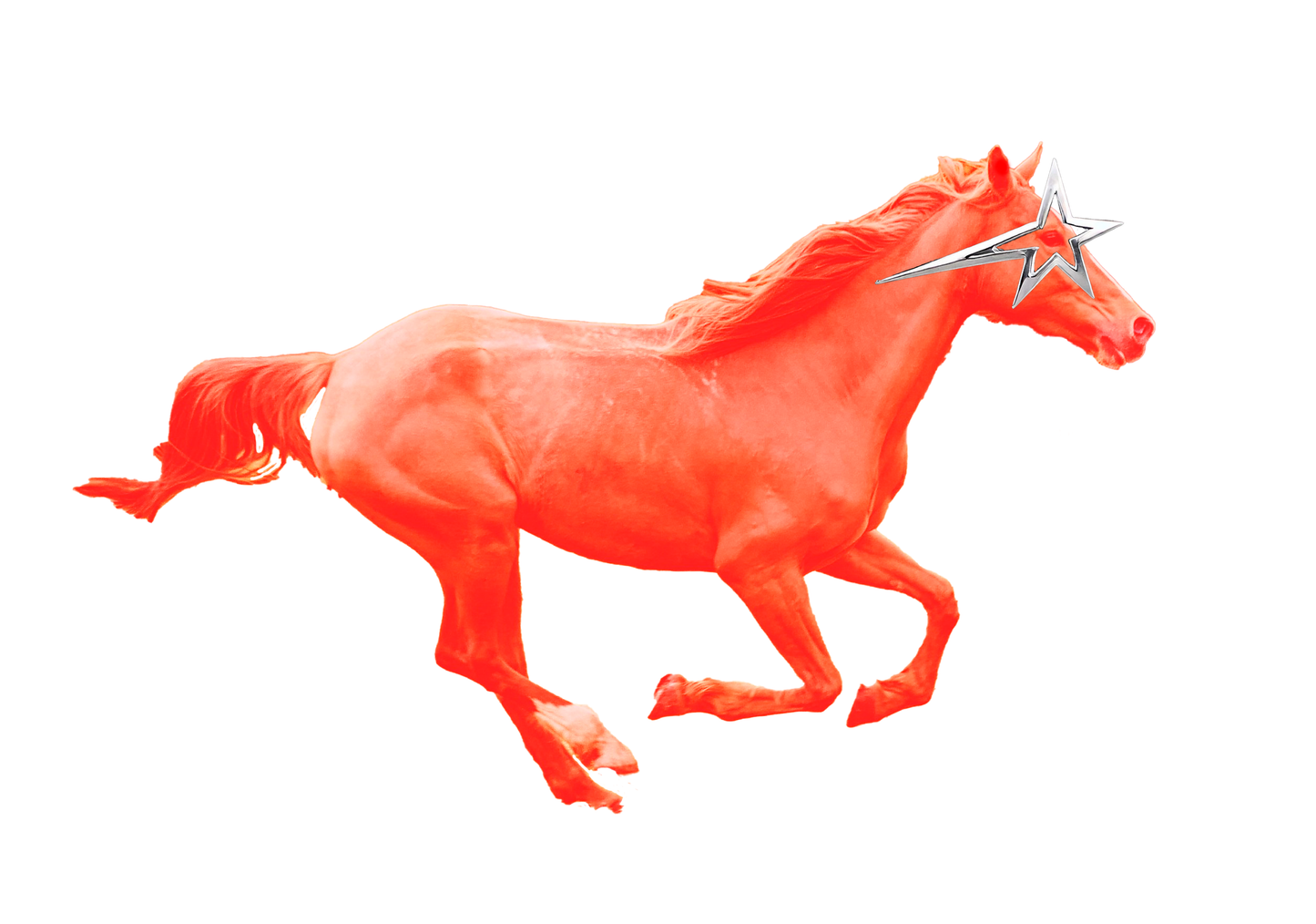 Fundament Horse tee